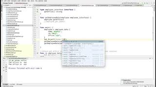 Method Sets in GoLang
