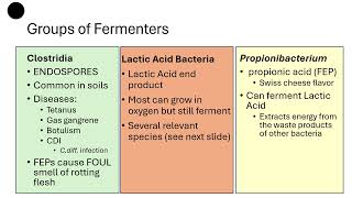 BIOL260 06 01 Prokaryotic Diversity Biochem