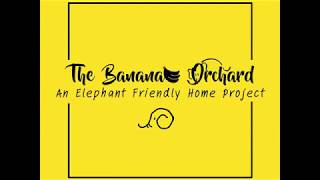 Full Day Activity Program @The Banana Orchard