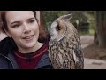 meeting feeding u0026 flying owls care of magical creatures