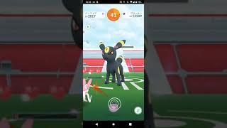 ポケモンGO「ソロレイドでブラッキーをGETするまで」（3）