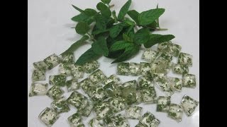 Real Mint candies - natural and organic!