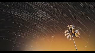 Night Starry Sky Over Tropical Beach With Lonely Palm Tree. Unusual Blurred Stars Effect Sky. 4k