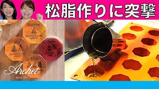 【初潜入】アルシェの松脂工房に行ってきたよ！！！〜前編〜【わくわく】