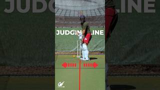 THIS is how you IMPROVE JUDGING LINE while batting!