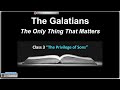 galatians the only thing that matters 3 the privilege of sons