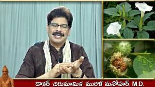 Ummetta (Datura) - Traditional Ayurvedic Remedies in Telugu by Dr. Murali Manohar Chirumamilla, M.D.