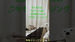 ☆⚠️しろくま🐻‍❄️秋と言えば、松岡直也さん作曲の♫今をフリージング  #relaxingmusic  #relaxing  #ピアノ  #松岡直也   #シロクマレイ