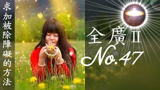 福智真如老師全廣0047｜求加被除障礙的方法【字幕+直影片】