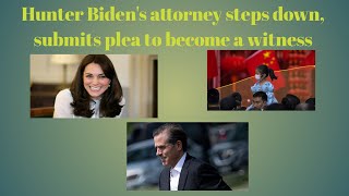 Hunter Biden's attorney steps down, submits plea to become a witness