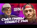 MONEY BLOW - Он переел запрещенных грибов и сошел с ума на четыре месяца (Подкаст Джарахова №1)