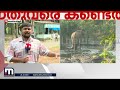 ആനയ്ക്കായുള്ള പരിശോധന ഊര്‍ജിതം മേഖലയില്‍ പ്രദേശവാസികള്‍ക്ക് മാത്രം പ്രവേശനം