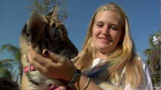 Kowiachobee Animal Preserve's Hands-on Education