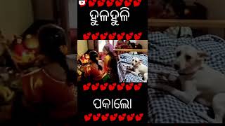 ହୁଳହୁଳି ଦେଲା ବେଲେ କୁକୁର କଣ କରୁଛି @Manas_local_blog