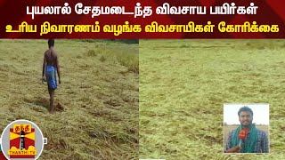 புயலால் சேதமடைந்த விவசாய பயிர்கள் - உரிய நிவாரணம் வழங்க விவசாயிகள் கோரிக்கை