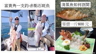 富貴角一支釣、一斤800 元赤點石斑魚剖開清蒸