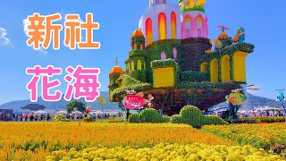 2023新社花海暨臺中國際花毯節 | 接駁車 捷運 臺鐵