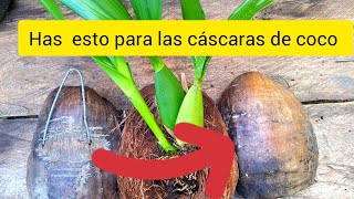 ¿COMO hacer los SOPORTES para LA cáscara de coco?