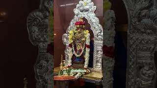 ஸ்ரீ வடிவுடையம்மன் திருவொற்றியூர், சென்னை| Sri Vadivudai Amman @veethiula Full video see description