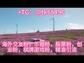 欧美交友粉引流，如何高效，认准tg @tk65490精准引流 交友 股票 币圈 电子游戏 商城 引粉 打粉