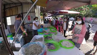 Taiwan seafood auction_Customers come to buy tuna sticks every week.