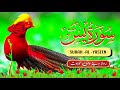 surah Yaseen beautiful Tilawat Abdul Rahman Masood سورۃ یاسین Sheikh sanaullah Tilawat #youtube