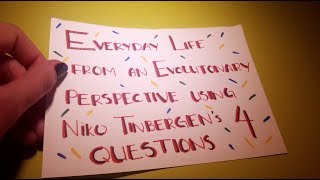 Implementing Niko Tinbergen's 4 question in real life scenarios