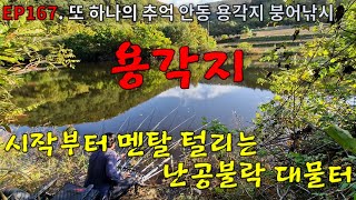 EP167. 또 하나의 추억 | 시작부터 멘탈 털리는 난공불락 대물터 | 안동 | 용각지 | 붕어낚시 | Crucian Carp Fishing