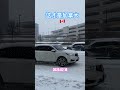 雪太大了！ 不要再下了！ snowstorm 多伦多