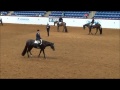 2014 aphc jr hunter under saddle finals