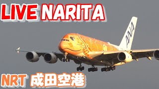 🔴LIVE at NARITA International Airport Plane Spotting　2025.01.26 成田空港ライブカメラ 成田空港　NRT/RJAA