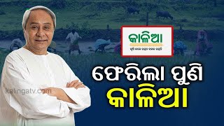 Odisha: Kalia Yojana Budget 2021-2022 || Kalinga TV