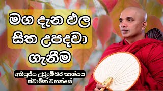 මග දැන ඵල සිත උපදවා ගැනීම | අතිපුජ්‍ය උඩුදුම්බර කාශ්‍යප ස්වාමින් වහන්සේ