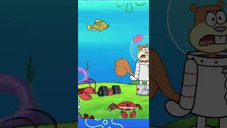 SPONGEBOB The Evolution Theory
