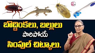 బొద్దింకలు బల్లులు పారిపోయే చిట్కాలు | moral video| kitchen Tips|Anantha Lakshmi | SumanTV