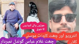 daisi kabooter||غلام عباس نمبردار فرام موسئی خرد کا جوڑوں والا سیٹ اپ||khizar Hayat vlog