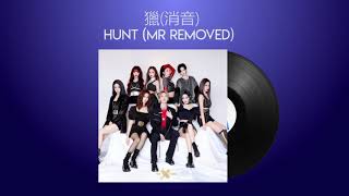 [消音/MR Removed] THE9 - Hunt 獵