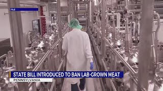 Pa. lawmakers look to ban this food: ‘Last place we should get our meat’