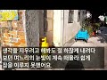 코믹사이다 생선 팔아 아들 장가 보낸 아들이 명품 밝히는 며느리를 들여오고 어느날 밖에서 만난 며느리가 나를 가정부라 소개하는데 참교육 해버렸습니다 라디오사연 신청사연 그썰