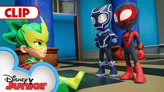 A Day With Black Panther | Marvel's Spidey and his Amazing Friends | @disneyjunior