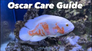Oscar Fish Care Guide - (Oscar Cichlid) - Oscar Tank Mates, Tank Size, Diet, Growth Rate & Aquarium