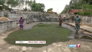 Pepper harvest registers a rise this year in Yercaud