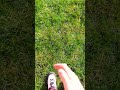 POV:Roblox kid touches grass for the first time in forever🤣🤣#edit #roblox #jokes #funny #memes