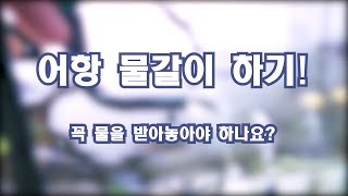 어항물갈이 꼭 물을 받아놓아야 할까요?