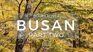 Busan, South Korea 부산