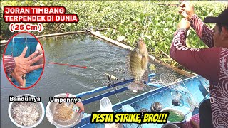 Perhatikan cara meracik bandulnya agar ikan ngumpul! | PESTA STRIKE DENGAN JORAN TIMBANG TERPENDEK