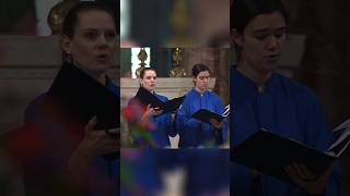 Pentecost Sequence at Mary’s Shrine #catholic #catholicchurch #nationalshrine #mass