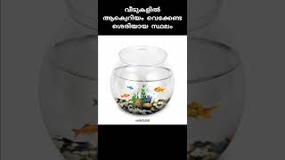 വാസ്തുപ്രകാരം വീട്ടിൽ ആക്വെറിയം വെക്കേണ്ട ശെരിയായ സ്ഥലം |#shorts | #vastu |#vastutips |#vastushastra