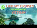 6 Luxury Cruises in HALONG BAY Vietnam