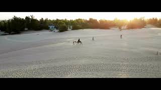 Lac Rose - Senegal (Africa) 4K